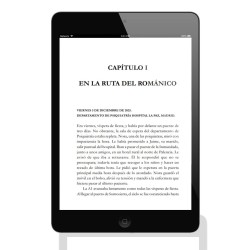 Tormenta Solar eBook formato pdf